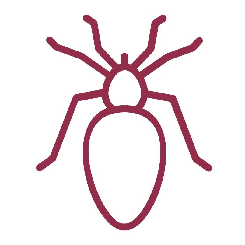 Flea, tick and worms icon