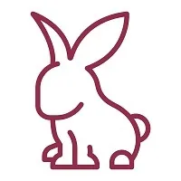 Rabbit icon