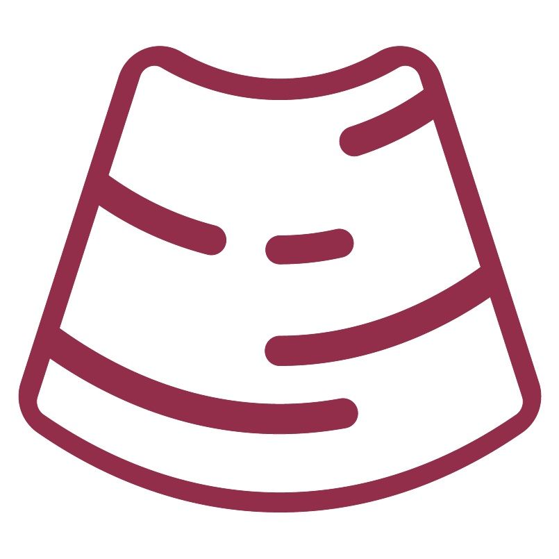 Ultrasound icon